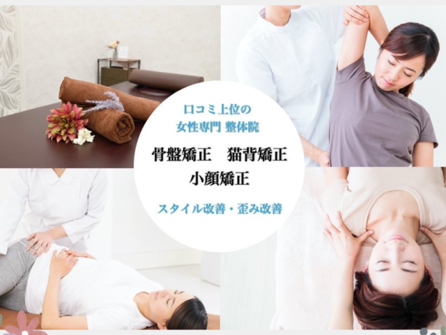 女性の筋肉について